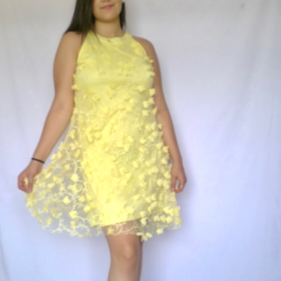 NWT Jax Black Label size 2, 3D floral yellow! - Picture 4 of 7